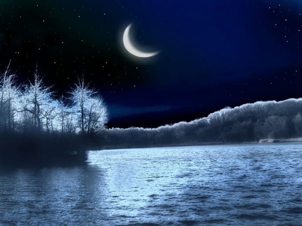 Спокойной ночи полнолуние