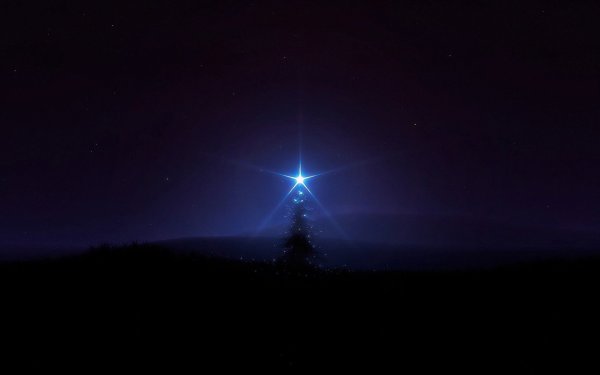 Звезды в темноте