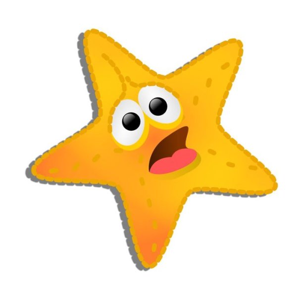 Морская звезда