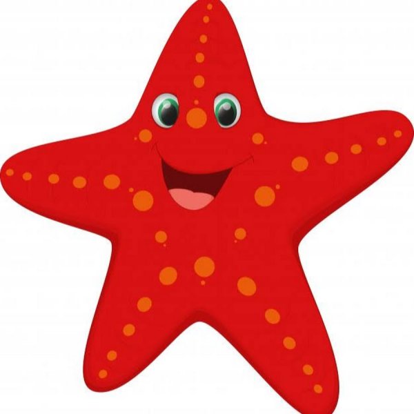 Морская звезда для детей