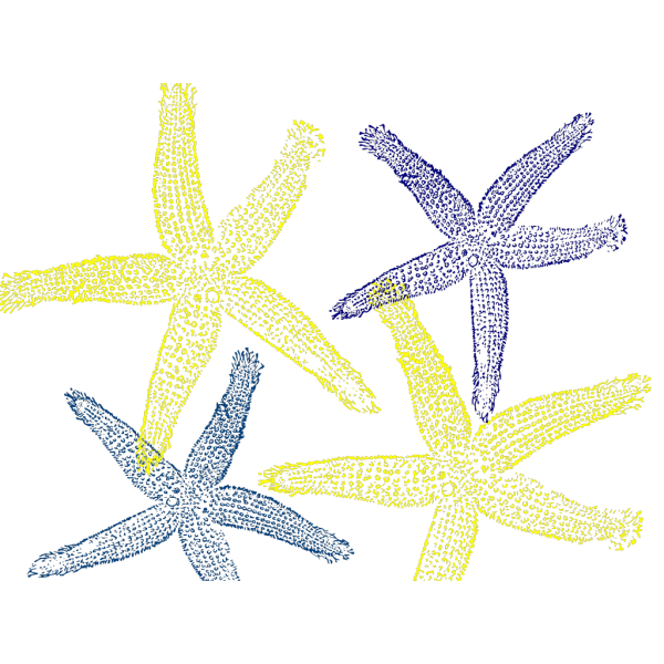 Морская звезда для детей