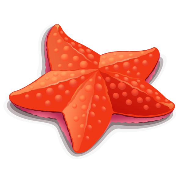 Морская звезда с глазками