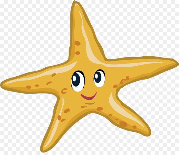 Морские звездочки на прозрачном фоне