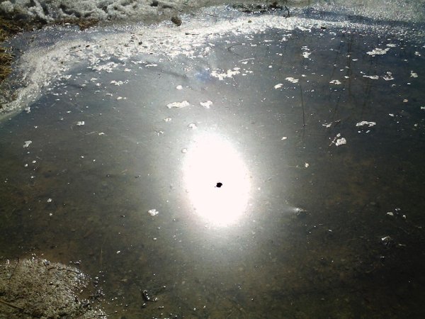 Солнце отражается в луже
