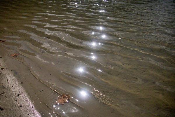 Звезды отражаются в воде