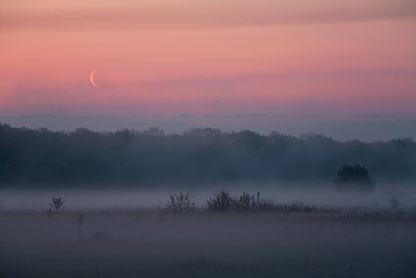 Луна в тумане