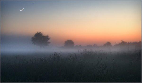 Предрассветная мгла