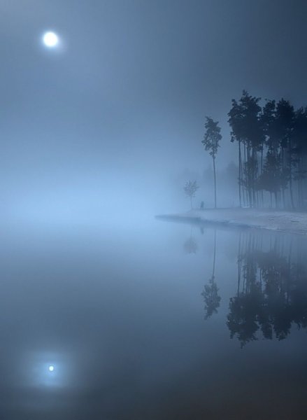 Луна в тумане