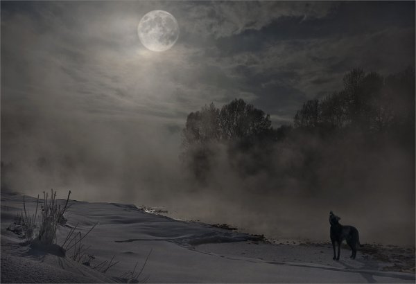 Метель ночью
