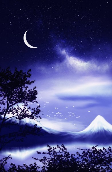 Ночь месяц