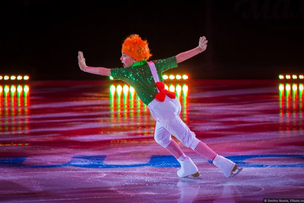 Звезды на льду жюри