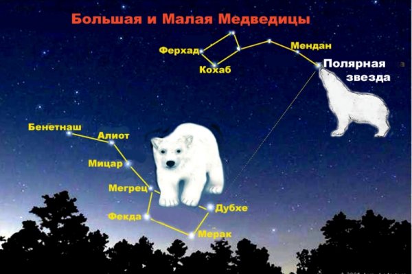 Раскраска Созвездие большой и малой медведицы