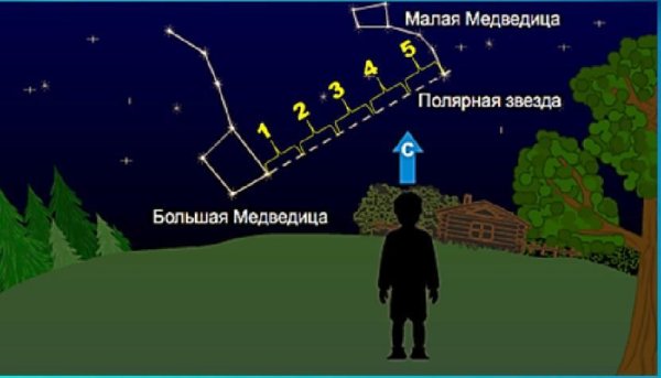 Большая и малая Медведица Созвездие