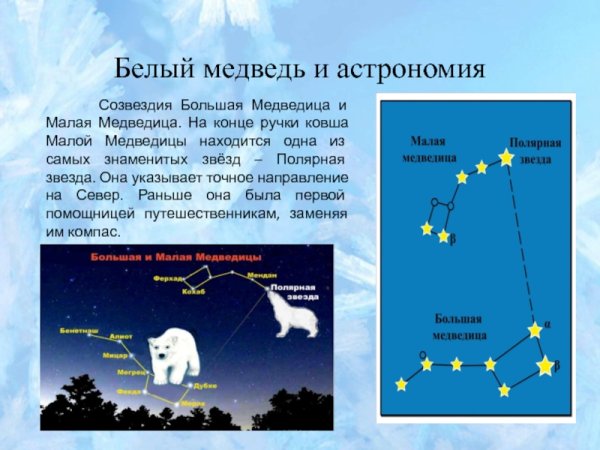 Ковш большая Медведица Полярная звезда