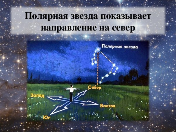 Большая и малая Медведица Полярная звезда