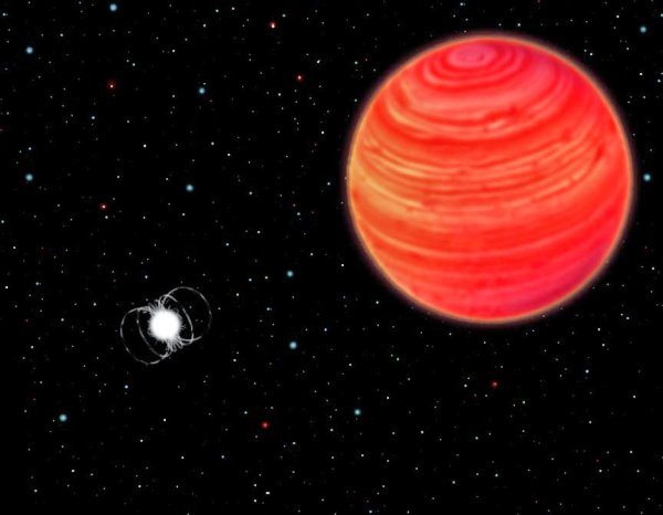 Звезда Бетельгейзе по сравнению с солнцем