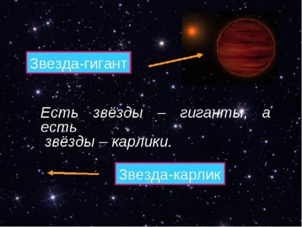 МЮ Цефея звезда