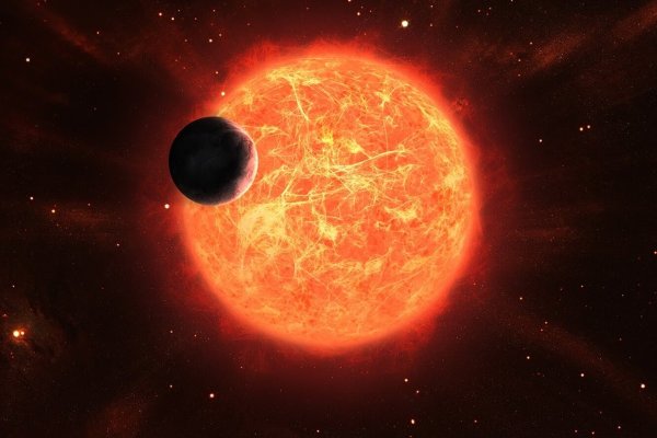 Звезда vy большого пса