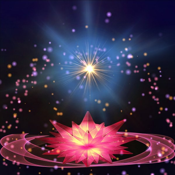 Магический цветок счастья