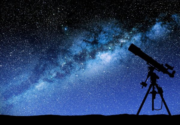 Звездочет астролог