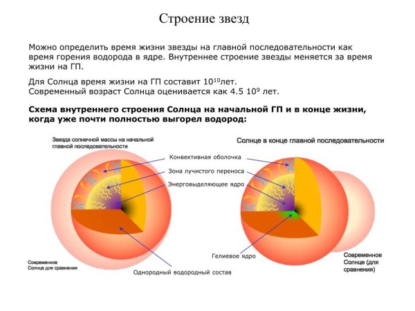 Внутреннее строение звезд главной последовательности