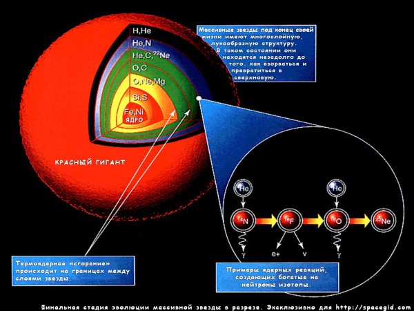 Внутреннее строение солнца Фотосфера