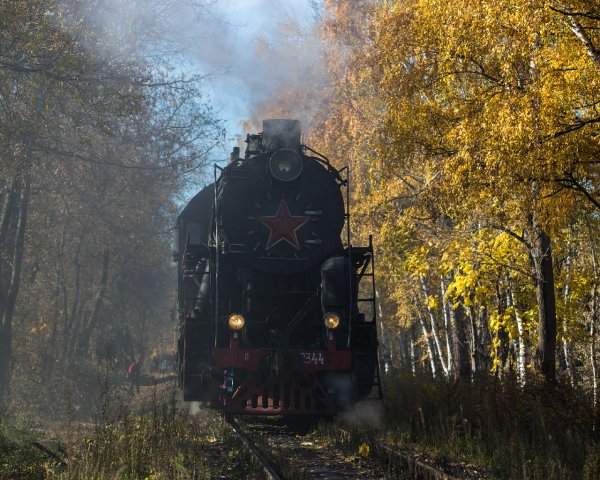 Паровоз в лесу