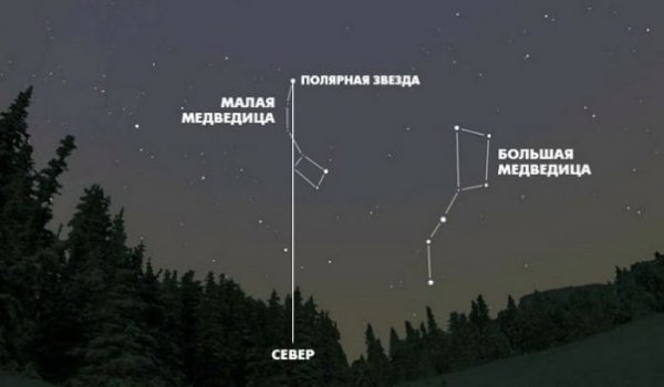 Как отличить полярную звезду