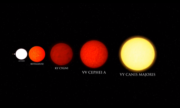 Звезда VV Цефея и солнце