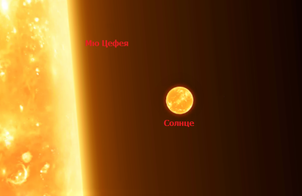 VV Цефея и vy большого пса