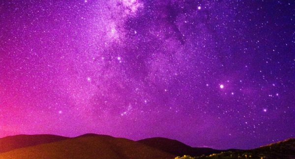 Розовый космос