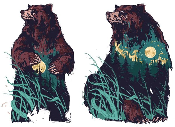 Белый медведь Созвездие