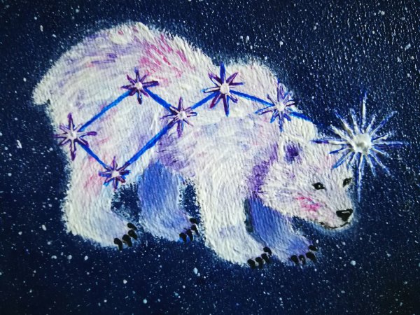 Космический медведь