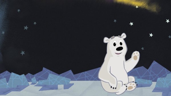 Медведь в ушанке