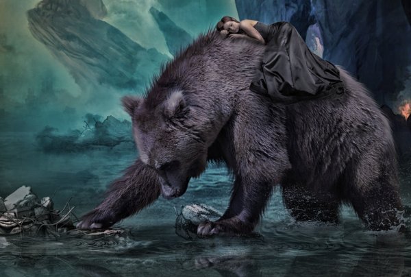 Медведь арт