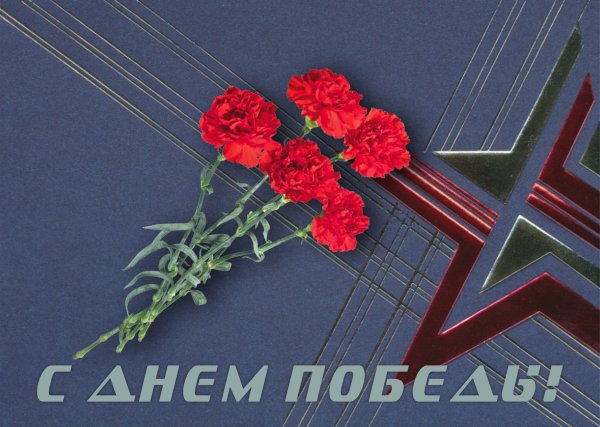 Гвоздики 9 мая вектор