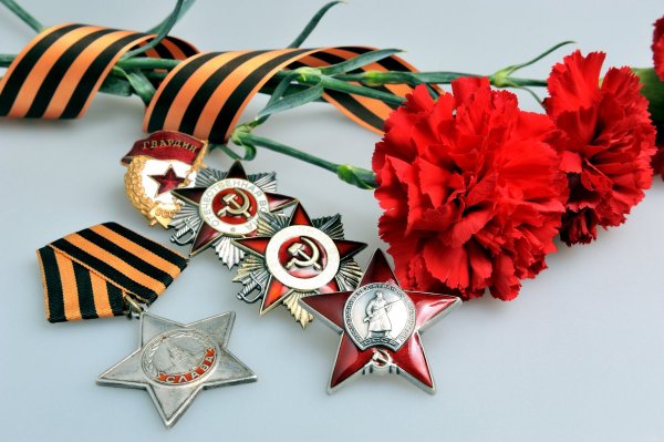 Красная гвоздика с георгиевской лентой