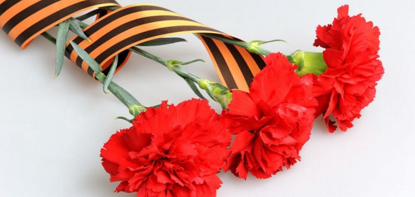 Красные гвоздики с георгиевской лентой