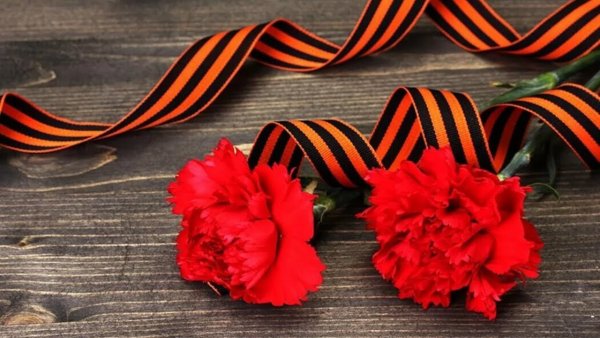 Красные гвоздики и Георгиевская ленточка