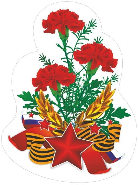 23 Февраля гвоздики