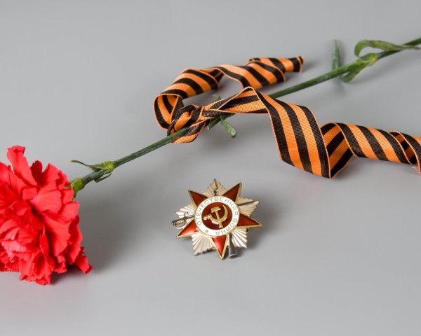 Георгиевская лента с гвоздикой