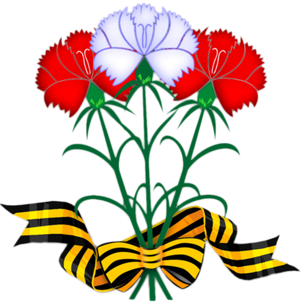 Гвоздика Голландия