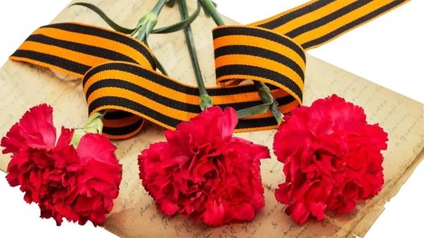 Георгиевская лента орден гвоздики