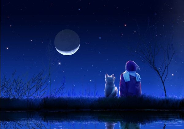 Девушка и кот ночью