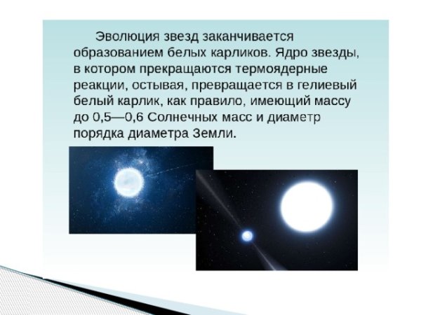 Звезда жизни