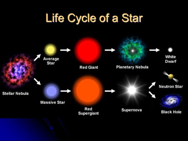 Жизненный цикл звезд протозвезда