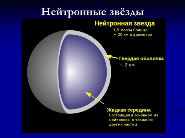 Внутреннее строение нейтронной звезды