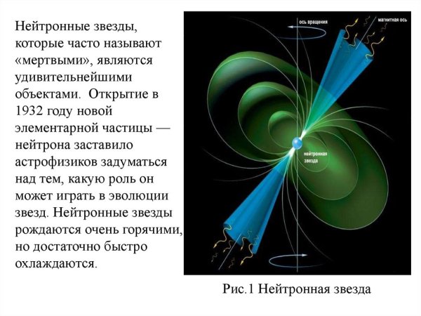 Внутреннее строение нейтронной звезды