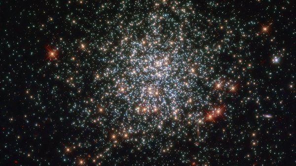 Galaxy NGC 2841