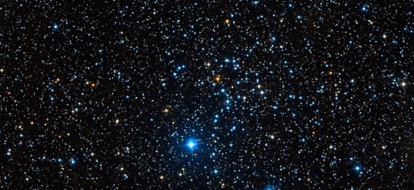 Звёзды Голливуда Путин в галивуде